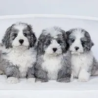 processed/600bf5cc-50d7-47a5-a985-daaadd3332d0/facility/128e6310-d2e7-42f5-b836-412566307f07