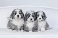 processed/600bf5cc-50d7-47a5-a985-daaadd3332d0/facility/128e6310-d2e7-42f5-b836-412566307f07