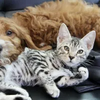 processed/600bf5cc-50d7-47a5-a985-daaadd3332d0/facility/1601d62a-9c02-4612-bc65-d62a7acc442c