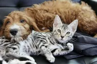 processed/600bf5cc-50d7-47a5-a985-daaadd3332d0/facility/1601d62a-9c02-4612-bc65-d62a7acc442c