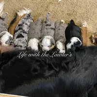 processed/600bf5cc-50d7-47a5-a985-daaadd3332d0/facility/23b8eef2-ffa4-4c04-ba0f-23254897a10b