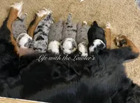 processed/600bf5cc-50d7-47a5-a985-daaadd3332d0/facility/23b8eef2-ffa4-4c04-ba0f-23254897a10b