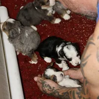 processed/600bf5cc-50d7-47a5-a985-daaadd3332d0/facility/5071619c-10bd-4085-b353-1265ff649d45