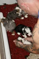 processed/600bf5cc-50d7-47a5-a985-daaadd3332d0/facility/5071619c-10bd-4085-b353-1265ff649d45