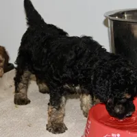 processed/600bf5cc-50d7-47a5-a985-daaadd3332d0/facility/88d34a08-5e27-40cd-bd46-4c2097e52130