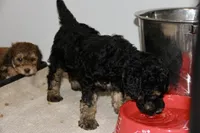 processed/600bf5cc-50d7-47a5-a985-daaadd3332d0/facility/88d34a08-5e27-40cd-bd46-4c2097e52130