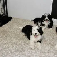 processed/600bf5cc-50d7-47a5-a985-daaadd3332d0/facility/fe0cb6e8-9053-4c96-acbc-e3da8c31a010