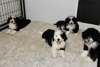 processed/600bf5cc-50d7-47a5-a985-daaadd3332d0/facility/fe0cb6e8-9053-4c96-acbc-e3da8c31a010