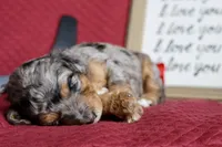 processed/600bf5cc-50d7-47a5-a985-daaadd3332d0/listing/cbbbde87-8821-4624-bda1-24864a82c31c/08d56a8d-ac3e-4a4c-8123-9c627db6432a