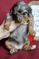 processed/600bf5cc-50d7-47a5-a985-daaadd3332d0/listing/cbbbde87-8821-4624-bda1-24864a82c31c/425d66a8-1591-488e-b1c1-0b1ef30b44de