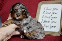 processed/600bf5cc-50d7-47a5-a985-daaadd3332d0/listing/cbbbde87-8821-4624-bda1-24864a82c31c/5cd98da4-b134-4e4f-aa0f-4a1923ed657f