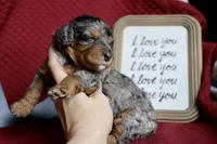 processed/600bf5cc-50d7-47a5-a985-daaadd3332d0/listing/cbbbde87-8821-4624-bda1-24864a82c31c/aa906b26-2282-430e-af79-b14df19d0c64