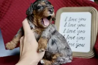 processed/600bf5cc-50d7-47a5-a985-daaadd3332d0/listing/cbbbde87-8821-4624-bda1-24864a82c31c/e38cd474-9b1e-44ee-b15c-5645c0090c5d