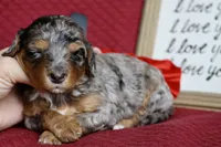 processed/600bf5cc-50d7-47a5-a985-daaadd3332d0/listing/cbbbde87-8821-4624-bda1-24864a82c31c/efe73f2e-6fa9-425d-83f4-46cd632ad732