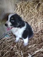 processed/600daf6b-3745-4d35-8bc1-2f66511f9fc4/facility/1974913c-67de-4200-b63e-ed939c0bf270