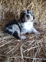 processed/600daf6b-3745-4d35-8bc1-2f66511f9fc4/facility/22ac69f4-f129-4ac5-938f-b56cee40a661