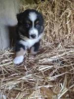 processed/600daf6b-3745-4d35-8bc1-2f66511f9fc4/facility/2a55195c-0bc3-474d-9175-f57816d306ad