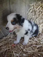 processed/600daf6b-3745-4d35-8bc1-2f66511f9fc4/facility/9287cdc8-1b71-4b9f-948e-a5e661326f3f