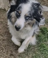 processed/600daf6b-3745-4d35-8bc1-2f66511f9fc4/facility/94780ad9-31e7-4357-907f-e7e6178cb094