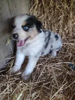 processed/600daf6b-3745-4d35-8bc1-2f66511f9fc4/facility/eb5a199c-79c4-4135-b0ec-bb13324898ce