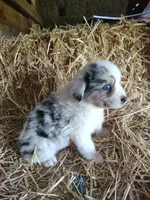 processed/600daf6b-3745-4d35-8bc1-2f66511f9fc4/facility/ec662aa9-f340-4d23-9fea-7ff14a27322e