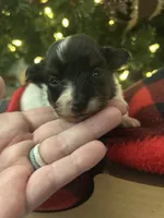 processed/601a5b82-9085-4e10-a4a8-f749b31030dd/listing/2a7dd063-bb68-47da-b5fc-059149f68e75/12adc272-0968-4ebe-a05d-3d6917bf95ef