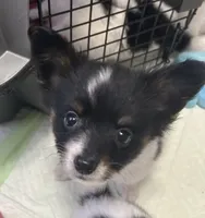 processed/601a5b82-9085-4e10-a4a8-f749b31030dd/listing/2a7dd063-bb68-47da-b5fc-059149f68e75/98fb545f-d991-4a67-a29c-3ac66cc1dd60