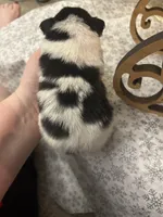 processed/601a5b82-9085-4e10-a4a8-f749b31030dd/listing/2a7dd063-bb68-47da-b5fc-059149f68e75/db0a171e-ee16-4b2d-9110-4f974ccf194f