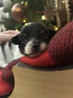 processed/601a5b82-9085-4e10-a4a8-f749b31030dd/listing/bf2a9d35-7eba-4d31-a5cc-b04ca6a8928e/20b41757-ca04-4c4a-94e3-ee130c16acaf