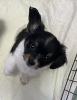 processed/601a5b82-9085-4e10-a4a8-f749b31030dd/listing/bf2a9d35-7eba-4d31-a5cc-b04ca6a8928e/62cd2938-c81e-40dd-a2c5-c1f605532460