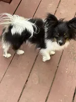 processed/601a5b82-9085-4e10-a4a8-f749b31030dd/listing/bf2a9d35-7eba-4d31-a5cc-b04ca6a8928e/be15e708-3d02-435e-8515-7c78567d26b8