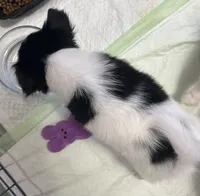 processed/601a5b82-9085-4e10-a4a8-f749b31030dd/listing/bf2a9d35-7eba-4d31-a5cc-b04ca6a8928e/cbf42ea4-2713-4b56-a835-a1bb5b719d5e