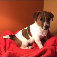 processed/601c7e00-ff71-4558-952b-322a9d9e2bd8/facility/08216067-0395-42ac-be65-01bb5ee3c423