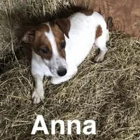 processed/601c7e00-ff71-4558-952b-322a9d9e2bd8/facility/0ec4c4d3-f816-4491-b59c-cb8f015072db