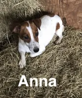 processed/601c7e00-ff71-4558-952b-322a9d9e2bd8/facility/0ec4c4d3-f816-4491-b59c-cb8f015072db