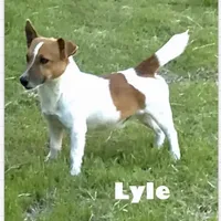 processed/601c7e00-ff71-4558-952b-322a9d9e2bd8/facility/33440dd5-573e-41a0-aea7-508e7f90234e