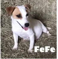 processed/601c7e00-ff71-4558-952b-322a9d9e2bd8/facility/4efecce6-6cea-4710-b797-5d1319c4c0c8