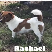 processed/601c7e00-ff71-4558-952b-322a9d9e2bd8/facility/62448874-0929-425e-ba30-eb690633246b