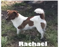 processed/601c7e00-ff71-4558-952b-322a9d9e2bd8/facility/62448874-0929-425e-ba30-eb690633246b