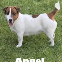 processed/601c7e00-ff71-4558-952b-322a9d9e2bd8/facility/637ed1f6-bdad-4ebe-a424-711030ca65a3