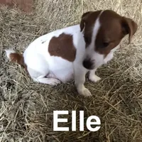 processed/601c7e00-ff71-4558-952b-322a9d9e2bd8/facility/8fffa8ec-62d1-4535-bc58-084d51b2aa18