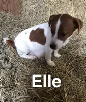 processed/601c7e00-ff71-4558-952b-322a9d9e2bd8/facility/8fffa8ec-62d1-4535-bc58-084d51b2aa18