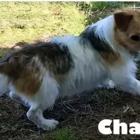 processed/601c7e00-ff71-4558-952b-322a9d9e2bd8/facility/c9786004-7fcd-4f1d-929e-e7f612bed3a5