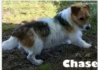 processed/601c7e00-ff71-4558-952b-322a9d9e2bd8/facility/c9786004-7fcd-4f1d-929e-e7f612bed3a5