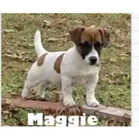 processed/601c7e00-ff71-4558-952b-322a9d9e2bd8/facility/cbd3f9de-e179-405f-8079-c982df6bda69