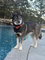 processed/60234780-3dbb-4c4e-9899-ebd46a1abb44/facility/328c5f16-5dab-4f78-a9a3-0f8e0f6fa4ab