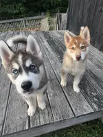 processed/60234780-3dbb-4c4e-9899-ebd46a1abb44/facility/32a4f9c2-70b3-4a86-95ac-b8a1400dc2dd