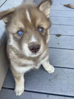 processed/60234780-3dbb-4c4e-9899-ebd46a1abb44/facility/8f2bf214-6510-4c63-8f47-21e582cf4b0f