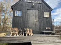 processed/60234780-3dbb-4c4e-9899-ebd46a1abb44/facility/8fbcfd3b-79ba-45e7-82ce-dfb344419c02