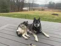 processed/60234780-3dbb-4c4e-9899-ebd46a1abb44/facility/aa6fe347-1811-4b03-af12-068a7c93924c